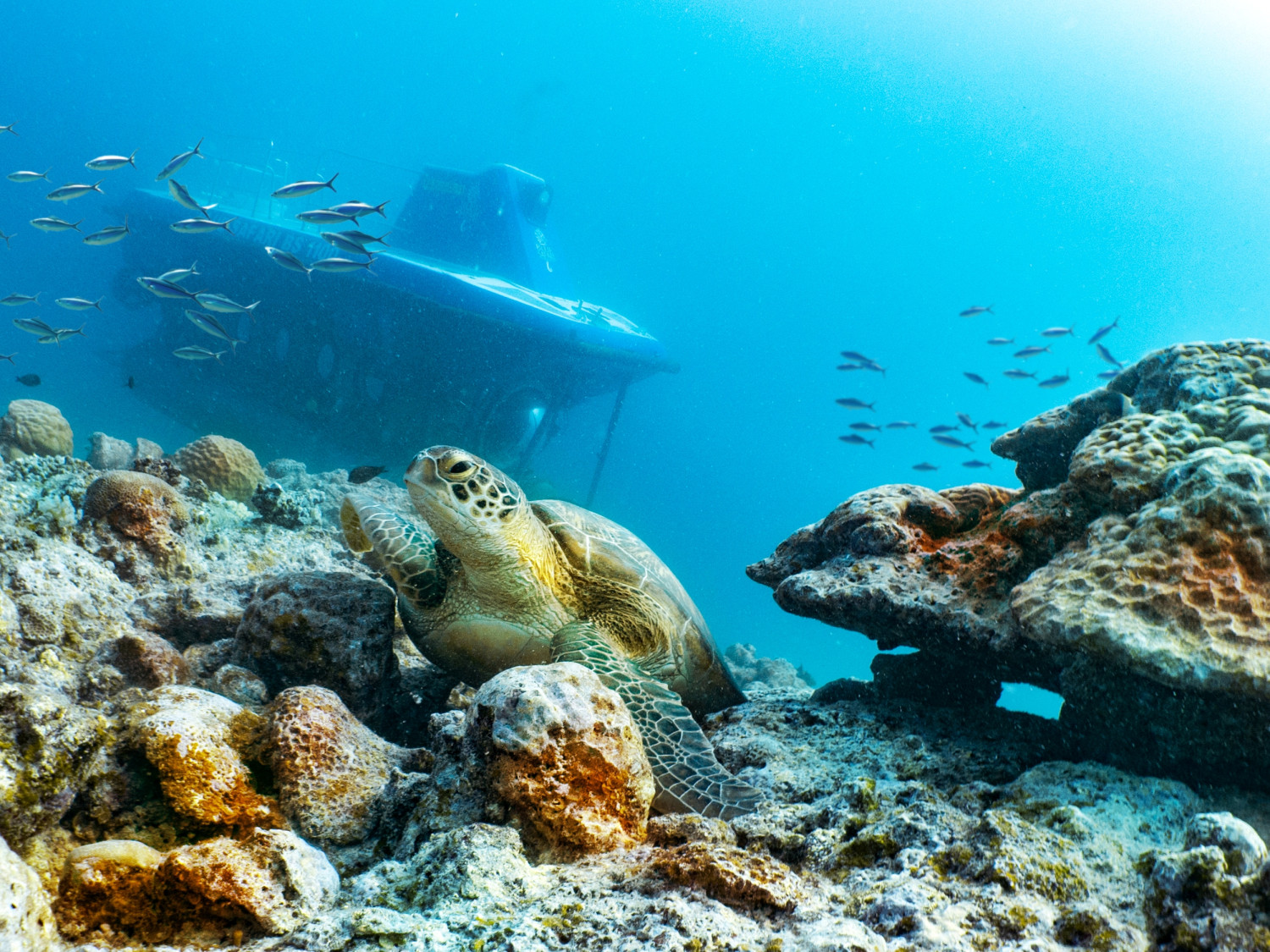 Submarine Experience